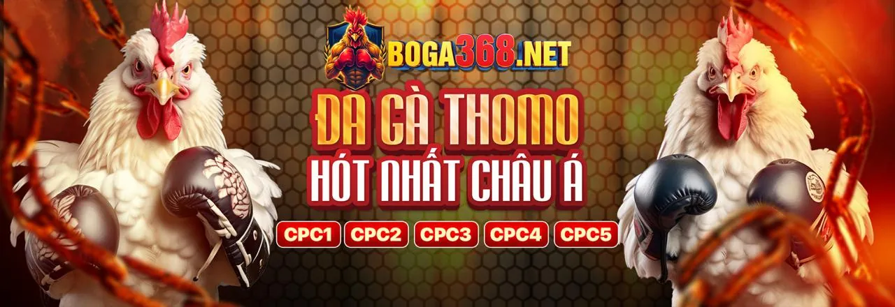 Hoàn trả casino hàng ngày 789win