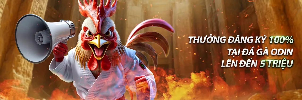 Sân vận động bóng đá với không khí cá cược sôi động tại 789win trang chủ