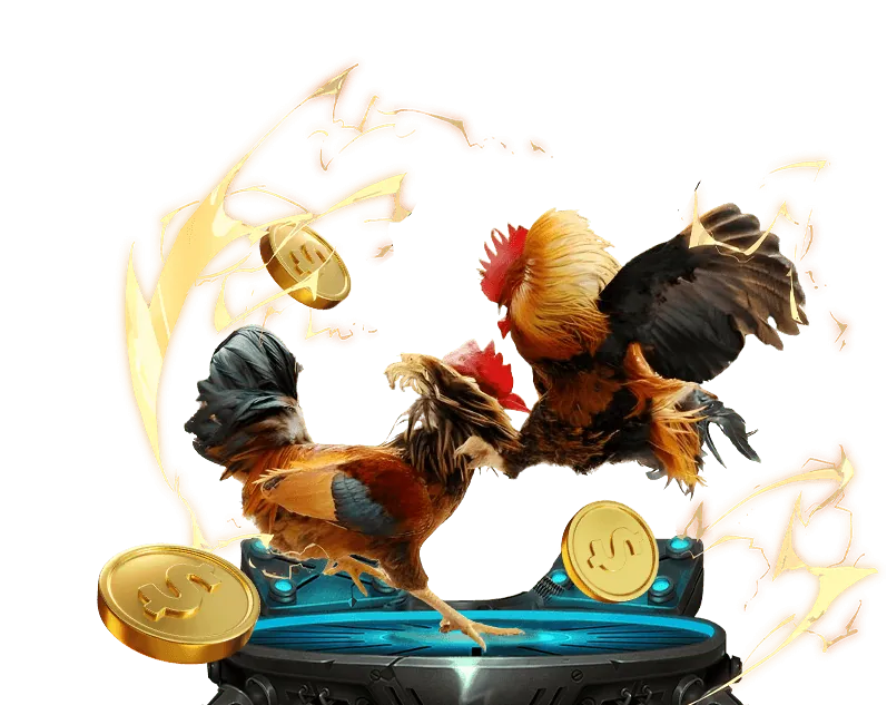 An toàn và hỗ trợ khách hàng tại 789win